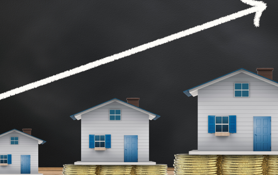 Real Estate Investment
